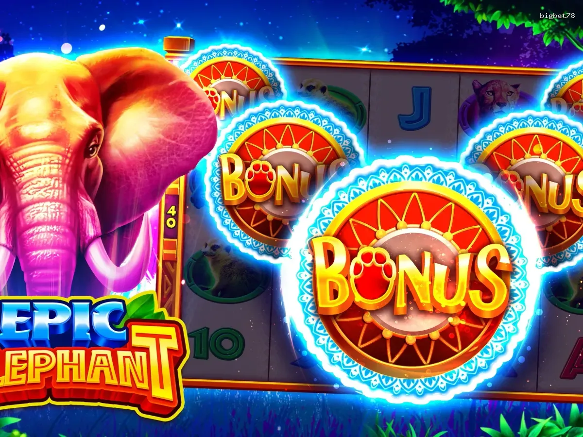 Akses bigbet78 VIP Premium screenshot